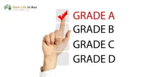 Understanding Australian Grading Systems: HD, D, C, P, N Explained