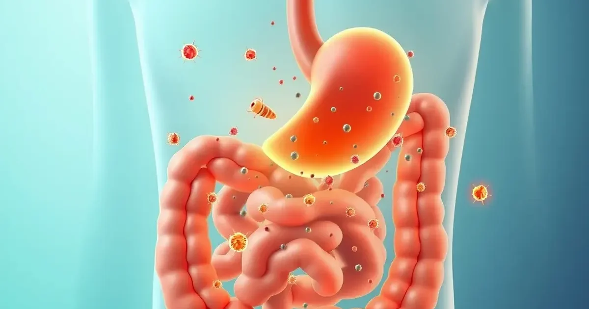 Entamizole Uses for Stomach Pain: Complete Guide 2026