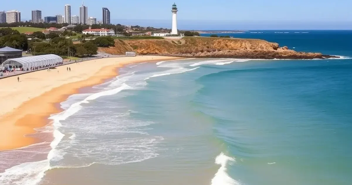 Living in Newcastle NSW Guide for Students and New Migrants