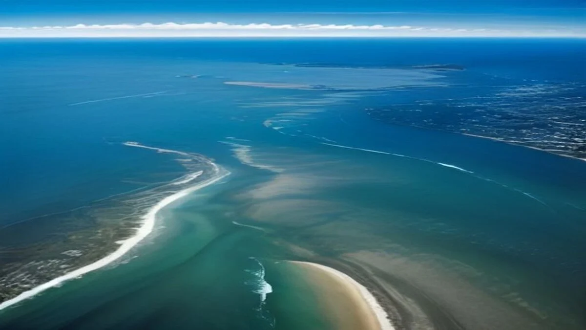 Australian coastline and city skyline representing hospitals across the country