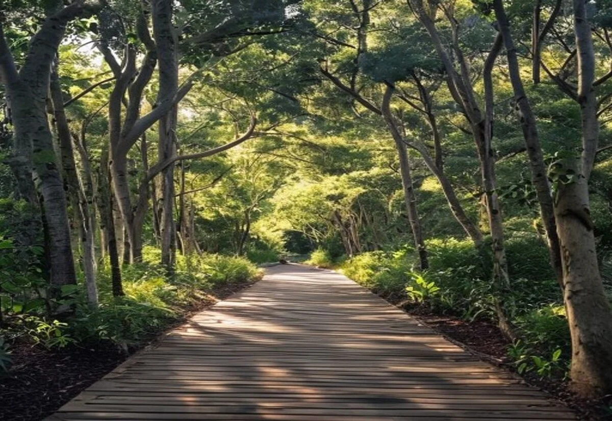 Bushland walking trail at Blackbutt Reserve in Newcastle