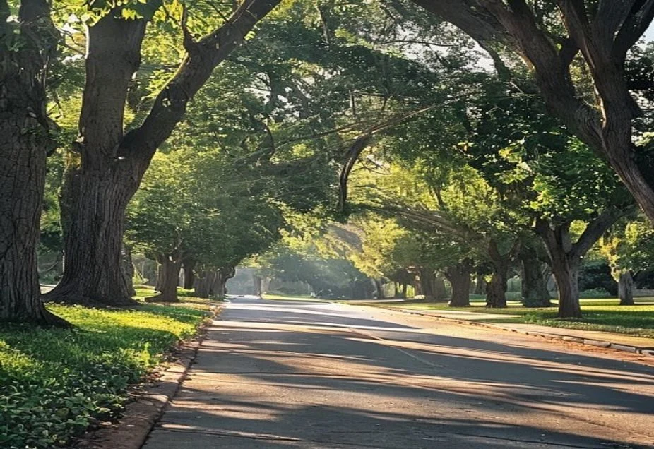 A quiet tree-lined suburban street and footpath on a spring morning