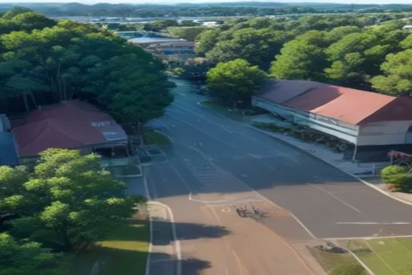 Transport in Regional Australia: How to Manage Without a Car