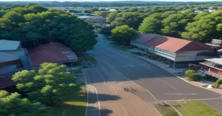 Transport in Regional Australia: How to Manage Without a Car
